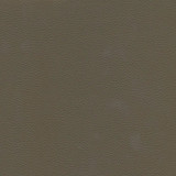 Catalyst-Nj 526 Fungi by Maxwell Designer Fabric MEMOS ONLY-COATED FABRICS FACE: 100% SILICONE KOREA 54" - Swanky Fabrics - Catalyst-Nj 526 Fungi by Maxwell Designer Fabric MEMOS ONLY-COATED FABRICS FACE: 100% SILICONE KOREA 54" - Swanky Fabrics -