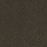 Herve-Nj 753 Hike by Maxwell Designer Fabric MEMOS ONLY-COATED FABRICS FACE: 100% SILICONE
BASE: 100% POLYURETHANE (POLYCARBONATE)
BACKING: 65% POLYESTER KOREA 54" - Swanky Fabrics - Herve-Nj 753 Hike by Maxwell Designer Fabric MEMOS ONLY-COATED FABRICS FACE: 100% SILICONE
BASE: 100% POLYURETHANE (POLYCARBONATE)
BACKING: 65% POLYESTER KOREA 54" - Swanky Fabrics -