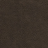 Fairbanks-Nj 414 Cave by Maxwell Designer Fabric MEMOS ONLY-COATED FABRICS FACE: 100% POLYURETHANE BACKING: 65% POLYESTER CHINA   54"  - Swanky Fabrics - Fairbanks-Nj 414 Cave by Maxwell Designer Fabric MEMOS ONLY-COATED FABRICS FACE: 100% POLYURETHANE BACKING: 65% POLYESTER CHINA   54"  - Swanky Fabrics -