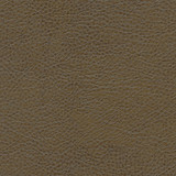 Fairbanks-Nj 418 Olive by Maxwell Designer Fabric MEMOS ONLY-COATED FABRICS FACE: 100% POLYURETHANE BACKING: 65% POLYESTER CHINA   54"  - Swanky Fabrics - Fairbanks-Nj 418 Olive by Maxwell Designer Fabric MEMOS ONLY-COATED FABRICS FACE: 100% POLYURETHANE BACKING: 65% POLYESTER CHINA   54"  - Swanky Fabrics -