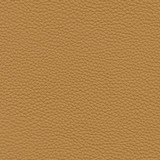 Andalusia-Nj 617 Biscuit by Maxwell Designer Fabric MEMOS ONLY-COATED FABRICS FACE: 100% POLYURETHANE CHINA 54" - Swanky Fabrics - Andalusia-Nj 617 Biscuit by Maxwell Designer Fabric MEMOS ONLY-COATED FABRICS FACE: 100% POLYURETHANE CHINA 54" - Swanky Fabrics -
