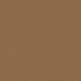 Andalusia-Nj 620 Sycamore by Maxwell Designer Fabric MEMOS ONLY-COATED FABRICS FACE: 100% POLYURETHANE CHINA 54" - Swanky Fabrics - Andalusia-Nj 620 Sycamore by Maxwell Designer Fabric MEMOS ONLY-COATED FABRICS FACE: 100% POLYURETHANE CHINA 54" - Swanky Fabrics -