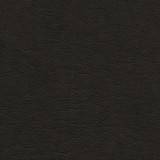Capulet-Nj 1262 Caviar by Maxwell Designer Fabric MEMOS ONLY-COATED FABRICS FACE: 100% POLYURETHANE CHINA 54" - Swanky Fabrics - Capulet-Nj 1262 Caviar by Maxwell Designer Fabric MEMOS ONLY-COATED FABRICS FACE: 100% POLYURETHANE CHINA 54" - Swanky Fabrics -