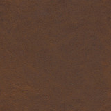 Shaw-Nj 791 Trunk by Maxwell Designer Fabric MEMOS ONLY-COATED FABRICS FACE: 100% POLYURETHANE KOREA 54" - Swanky Fabrics - Shaw-Nj 791 Trunk by Maxwell Designer Fabric MEMOS ONLY-COATED FABRICS FACE: 100% POLYURETHANE KOREA 54" - Swanky Fabrics -