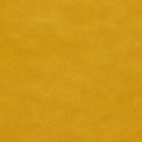 Marzano-Nj 265 Turmeric by Maxwell Designer Fabric MEMOS ONLY-COATED FABRICS FACE: 100% POLYURETHANE KOREA 54" - Swanky Fabrics - Marzano-Nj 265 Turmeric by Maxwell Designer Fabric MEMOS ONLY-COATED FABRICS FACE: 100% POLYURETHANE KOREA 54" - Swanky Fabrics -