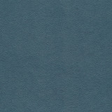Potion-Nj 598 Swim by Maxwell Designer Fabric MEMOS ONLY-COATED FABRICS FACE: 100% POLYURETHANE KOREA 54" - Swanky Fabrics - Potion-Nj 598 Swim by Maxwell Designer Fabric MEMOS ONLY-COATED FABRICS FACE: 100% POLYURETHANE KOREA 54" - Swanky Fabrics -
