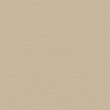 Highborn-Nj 389 Oatmeal by Maxwell Designer Fabric MEMOS ONLY-COATED FABRICS FACE: 100% POLYURETHANE CHINA 54" - Swanky Fabrics - Highborn-Nj 389 Oatmeal by Maxwell Designer Fabric MEMOS ONLY-COATED FABRICS FACE: 100% POLYURETHANE CHINA 54" - Swanky Fabrics -