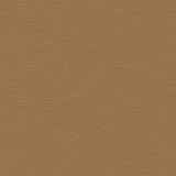 Highborn-Nj 392 Latte by Maxwell Designer Fabric MEMOS ONLY-COATED FABRICS FACE: 100% POLYURETHANE CHINA 54" - Swanky Fabrics - Highborn-Nj 392 Latte by Maxwell Designer Fabric MEMOS ONLY-COATED FABRICS FACE: 100% POLYURETHANE CHINA 54" - Swanky Fabrics -