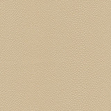 Stingray-Nj 1064 Sand Dollar by Maxwell Designer Fabric MEMOS ONLY-COATED FABRICS FACE: 100% PVC KOREA 54" - Swanky Fabrics - Stingray-Nj 1064 Sand Dollar by Maxwell Designer Fabric MEMOS ONLY-COATED FABRICS FACE: 100% PVC KOREA 54" - Swanky Fabrics -