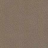 Quill-Nj 883 Musgum by Maxwell Designer Fabric MEMOS ONLY-COATED FABRICS FACE: 100% POLYURETHANE KOREA V-20.5" H-39" 54" - Swanky Fabrics - Quill-Nj 883 Musgum by Maxwell Designer Fabric MEMOS ONLY-COATED FABRICS FACE: 100% POLYURETHANE KOREA V-20.5" H-39" 54" - Swanky Fabrics -