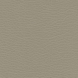 Spire-Nj 1198 Paved by Maxwell Designer Fabric MEMOS ONLY-COATED FABRICS FACE: 100% PVC VIETNAM 54" - Swanky Fabrics - Spire-Nj 1198 Paved by Maxwell Designer Fabric MEMOS ONLY-COATED FABRICS FACE: 100% PVC VIETNAM 54" - Swanky Fabrics -