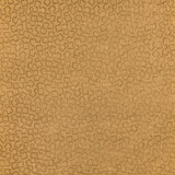 Trefolia Velvet Amber AW9247 by Anna French Fabric Anna French Fabric Trefolia Velvet Amber AW9247Fabric Camelot </p><p>Repeat: V: 40.50" (102.87 cm) 54.00" (137.16 cm) - Fabric Carolina -