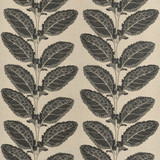 Lacinato Basalt Black F912038 by Thibaut Fabric Thibaut Fabric Lacinato Basalt Black F912038Fabric Vista </p><p>Repeat: V: 19.50" (49.53 cm) 54.00" (137.16 cm) - Fabric Carolina - Lacinato Basalt Black F912038 by Thibaut Fabric Thibaut Fabric Lacinato Basalt Black F912038Fabric Vista </p><p>Repeat: V: 19.50" (49.53 cm) 54.00" (137.16 cm) - Fabric Carolina -