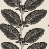 Lacinato Basalt Black T12038 by Thibaut Wallpaper Thibaut Wallpaper Lacinato Basalt Black T12038Wallpaper Vista </p><p>Repeat: V: 18.00"(45.72 cm) 27.00"(68.58 cm) - Fabric Carolina -