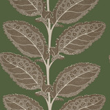 Lacinato Wild Sage T12040 by Thibaut Wallpaper Thibaut Wallpaper Lacinato Wild Sage T12040Wallpaper Vista </p><p>Repeat: V: 18.00"(45.72 cm) 27.00"(68.58 cm) - Fabric Carolina - Lacinato Wild Sage T12040 by Thibaut Wallpaper Thibaut Wallpaper Lacinato Wild Sage T12040Wallpaper Vista </p><p>Repeat: V: 18.00"(45.72 cm) 27.00"(68.58 cm) - Fabric Carolina -