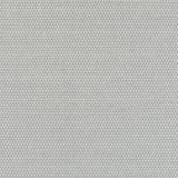 Pollux Sterling W81911 by Thibaut Fabric Thibaut Fabric Pollux Sterling W81911Fabric Companions </p><p>Repeat: V: 1.00" (2.54 cm) 54.00" (137.16 cm) - Fabric Carolina - Pollux Sterling W81911 by Thibaut Fabric Thibaut Fabric Pollux Sterling W81911Fabric Companions </p><p>Repeat: V: 1.00" (2.54 cm) 54.00" (137.16 cm) - Fabric Carolina -