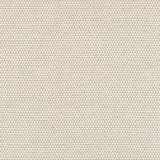 Pollux Flax W81912 by Thibaut Fabric Thibaut Fabric Pollux Flax W81912Fabric Companions </p><p>Repeat: V: 1.00" (2.54 cm) 54.00" (137.16 cm) - Fabric Carolina -