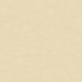 33886.1116 by Kravet Couture Designer Fabric in our sample Cotton 61%, Silk 39% India See Sample Horizontal: See Sample and Vertical: See Sample 55 inches - Swanky Fabrics -