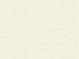 30421.111 by Kravet Basics Designer Fabric in our sample Linen 100% China Heavy Horizontal: See Sample and Vertical: See Sample 55 inches - Swanky Fabrics -