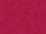 33299.97 by Kravet Basics Designer Fabric in our sample Polyester 75%, Cotton 25% China Heavy Horizontal: See Sample and Vertical: See Sample 54 inches - Swanky Fabrics -