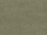 33125.2311 by Kravet Design Designer Fabric in our sample Cotton 61%, Viscose 39% Netherlands See Sample Horizontal: See Sample and Vertical: See Sample 55 inches - Swanky Fabrics -
