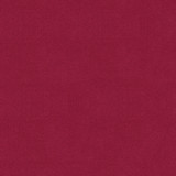 32565.97 by Kravet Smart Designer Fabric in our sample Polyester 83%, Cotton 17% Korea, Republic of Heavy Horizontal: See Sample and Vertical: See Sample 55 inches - Swanky Fabrics -