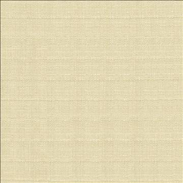 Abalone Oyster by Kasmir Designer Fabric 1449 86% Polyester 14% Viscose INDIA 98,000 Martindale Cycles H: N/A, V: N/A 55 - Swanky Fabrics - Kasmir