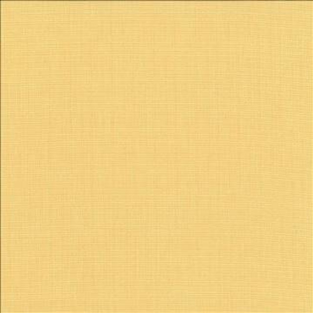 Auberge Champagne by Kasmir Designer Fabric 5055 100% Polyester TAIWAN 100,000 Wyzenbeek Double Rubs H: N/A, V: N/A 59 - 60 - Swanky Fabrics - Kasmir