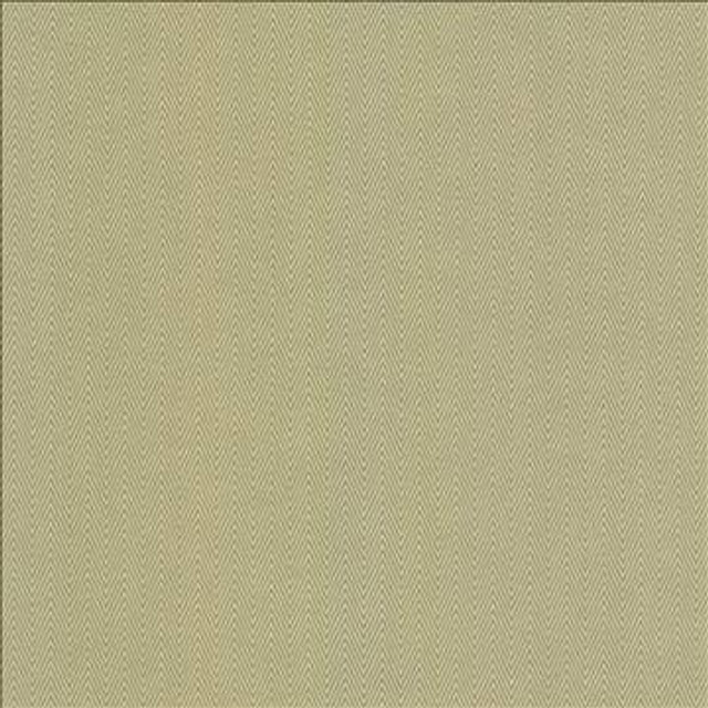 Aventura Aloe by Kasmir Designer Fabric 5099 52% Polyester 48% Cotton INDIA 50,000 Wyzenbeek Double Rubs H: 1 inches, V: 2/8 inches 54 - 55 - Swanky Fabrics - Kasmir