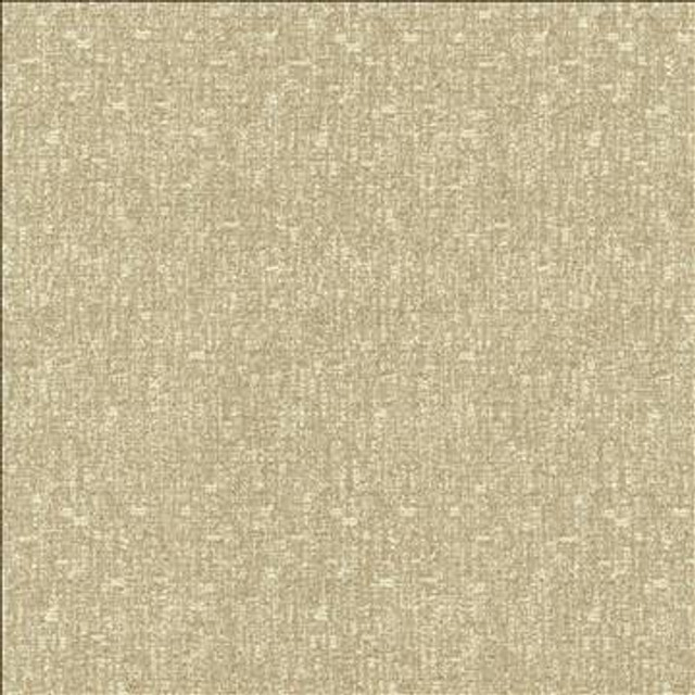 Blake Halo by Kasmir Designer Fabric