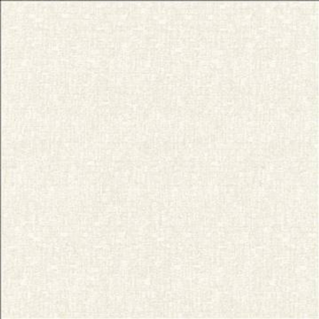 Blake Pure by Kasmir Designer Fabric