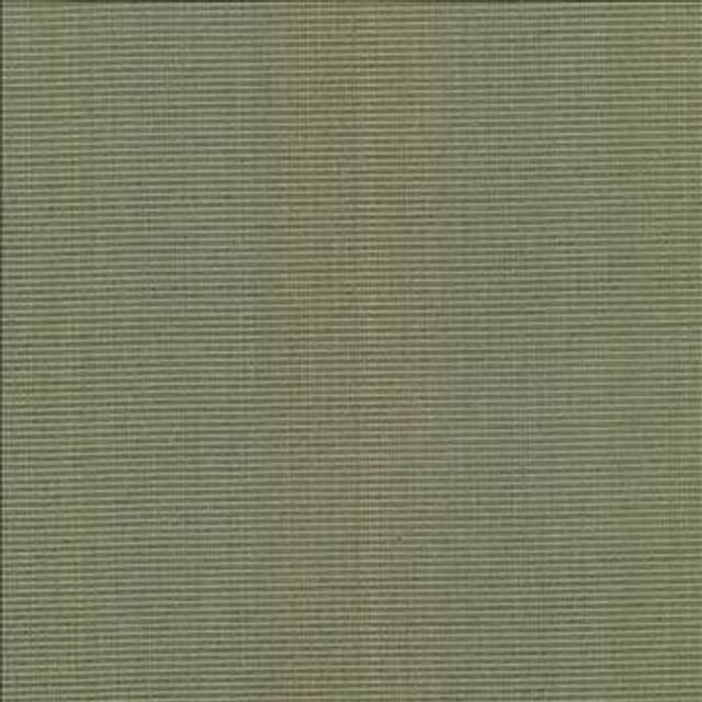 Burnet Sage by Kasmir Designer Fabric 5074 52% Cotton 31% Polyester 17% Rayon CHINA 60,000 Wyzenbeek Double Rubs H: N/A, V: N/A 58 - Swanky Fabrics - Kasmir
