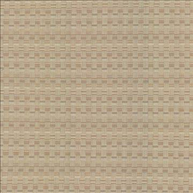 Check This Out Haze by Kasmir Designer Fabric 5083 55% Polyester 45% Rayon CHINA 55,000 Wyzenbeek Double Rubs H: 1 inches, V: 3 inches 55 - Swanky Fabrics - Kasmir