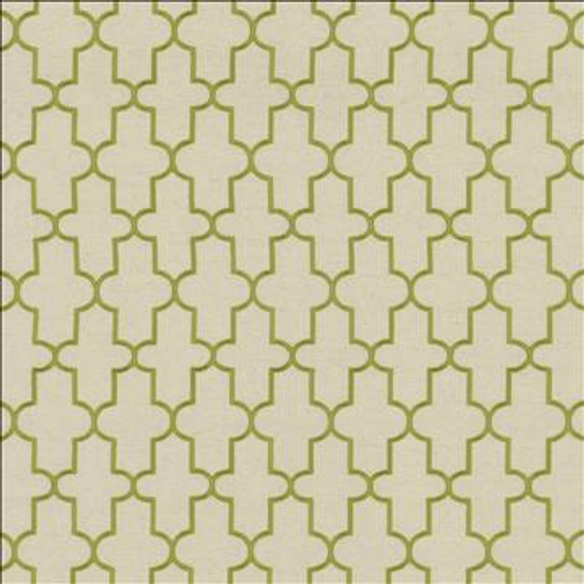 Dellis Grass by Kasmir Designer Fabric