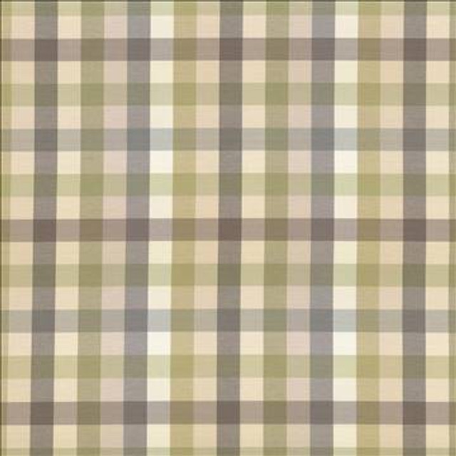 Dupuy Check Grey Garden by Kasmir Designer Fabric 5078 53% Cotton 47% Polyester TAIWAN 12,000 Wyzenbeek Double Rubs H: 13 4/8 inches, V: 13 4/8 inches 55 - Swanky Fabrics - Kasmir