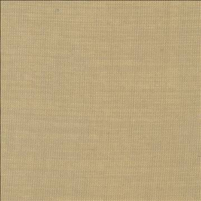 Gauzier Linen by Kasmir Designer Fabric 5076 100% Polyamide TURKEY - H: N/A, V: N/A 117 - 118 - Swanky Fabrics - Kasmir