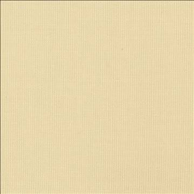Gauzier Natural by Kasmir Designer Fabric 5076 100% Polyamide TURKEY - H: N/A, V: N/A 117 - 118 - Swanky Fabrics - Kasmir