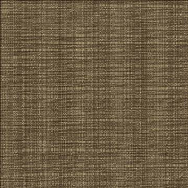 In Flux Latte by Kasmir Designer Fabric 1438 100% Cotton INDIA 15,000 Wyzenbeek Double Rubs H: N/A, V: N/A 54 - 55 - Swanky Fabrics - Kasmir