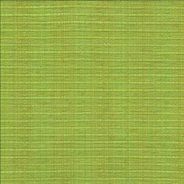 In Flux Snow Pea by Kasmir Designer Fabric 1442 100% Cotton INDIA 15,000 Wyzenbeek Double Rubs H: N/A, V: N/A 54 - 55 - Swanky Fabrics - Kasmir