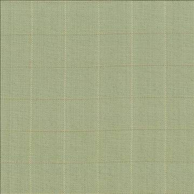 Keheley Thyme by Kasmir Designer Fabric 1442 100% Cotton INDIA 12,000 Wyzenbeek Double Rubs H: 3 inches, V: 3 inches 53 - 54 - Swanky Fabrics - Kasmir