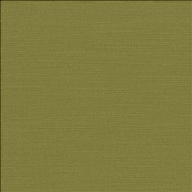 Luxe Chartreuse by Kasmir Designer Fabric 1447 88% Rayon 12% Polyester USA 21,000 Wyzenbeek Double Rubs H: N/A, V: N/A 54 - Swanky Fabrics - Kasmir
