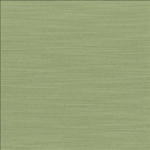 Luxe Jade by Kasmir Designer Fabric 1447 88% Rayon 12% Polyester USA 21,000 Wyzenbeek Double Rubs H: N/A, V: N/A 54 - Swanky Fabrics - Kasmir