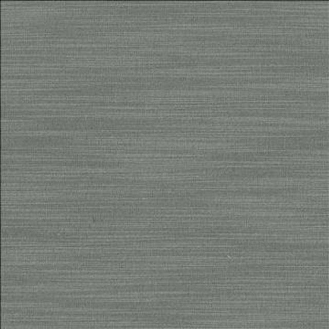 Luxe Pewter by Kasmir Designer Fabric 1447 88% Rayon 12% Polyester USA 21,000 Wyzenbeek Double Rubs H: N/A, V: N/A 54 - Swanky Fabrics - Kasmir