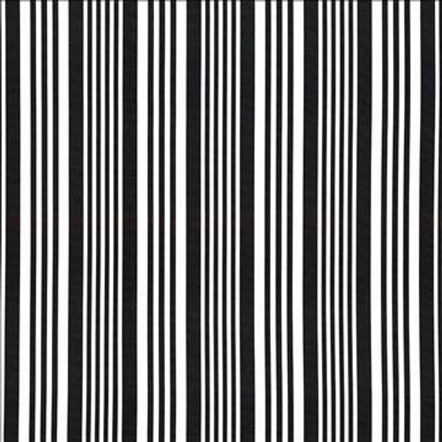 Mahina Stripe Black by Kasmir Designer Fabric 5105 100% Cotton USA 51,000 Wyzenbeek Double Rubs H: 9 inches, V: N/A 53 - 54 - Swanky Fabrics - Kasmir