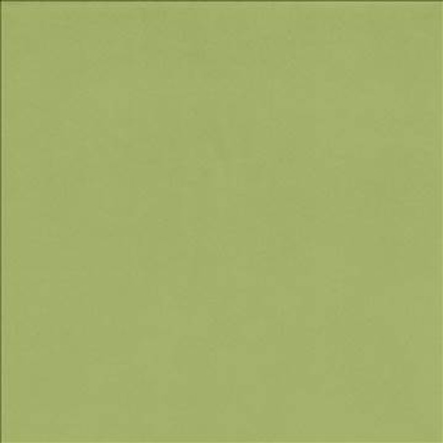 Opus Celery by Kasmir Designer Fabric 5058 100% Polyester CHINA 100,000 Wyzenbeek Double Rubs H: N/A, V: N/A 55 - 57 - Swanky Fabrics - Kasmir