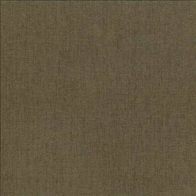 Pinnacle Cafe by Kasmir Designer Fabric 1353 100% Polyester INDIA 102,000 Wyzenbeek Double Rubs H: N/A, V: N/A 54 - 55 - Swanky Fabrics - Kasmir
