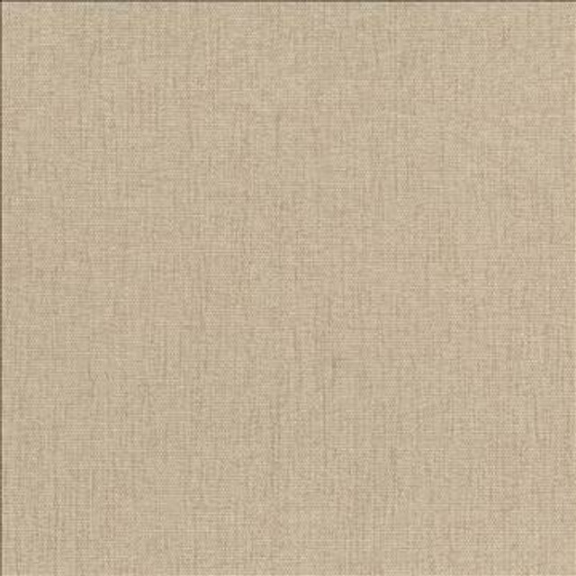 Pinnacle Chamois by Kasmir Designer Fabric 1353 100% Polyester INDIA 102,000 Wyzenbeek Double Rubs H: N/A, V: N/A 54 - 55 - Swanky Fabrics - Kasmir