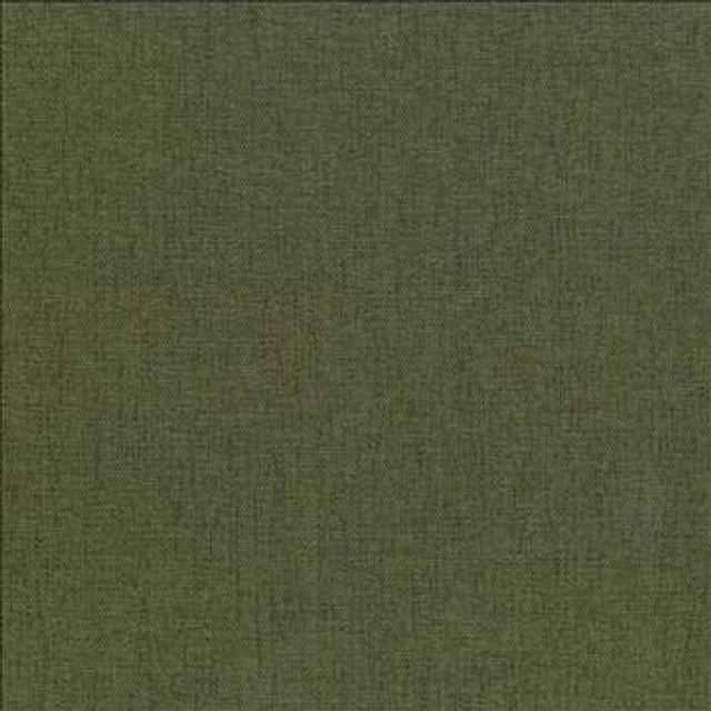 Pinnacle Forest by Kasmir Designer Fabric 5046 100% Polyester INDIA 102,000 Wyzenbeek Double Rubs H: N/A, V: N/A 54 - 55 - Swanky Fabrics - Kasmir