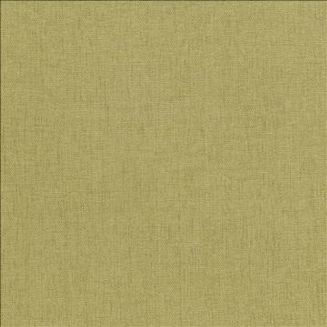 Pinnacle Thyme by Kasmir Designer Fabric 5046 100% Polyester INDIA 102,000 Wyzenbeek Double Rubs H: N/A, V: N/A 54 - 55 - Swanky Fabrics - Kasmir