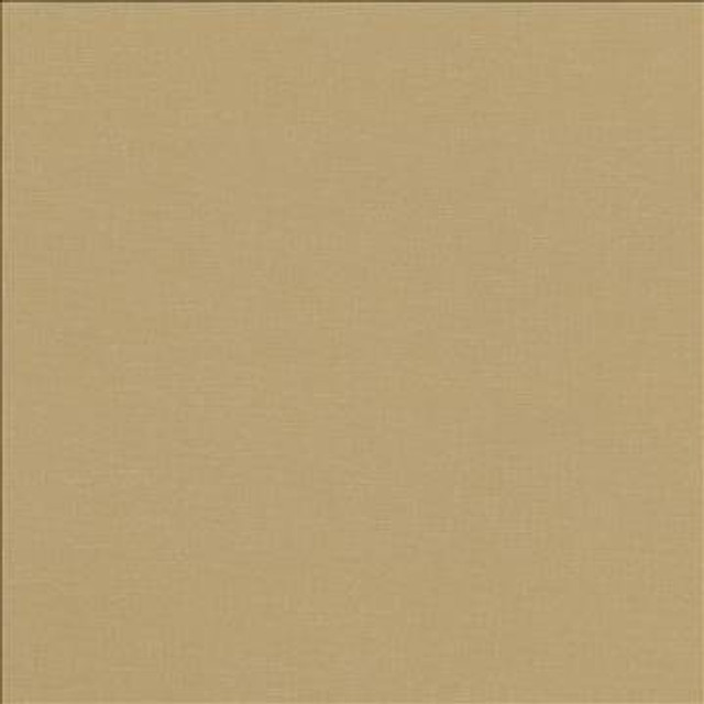 Pirouette Cashew by Kasmir Designer Fabric 5054 100% Polyester INDIA 45,000 Wyzenbeek Double Rubs H: N/A, V: N/A 54 - 55 - Swanky Fabrics - Kasmir